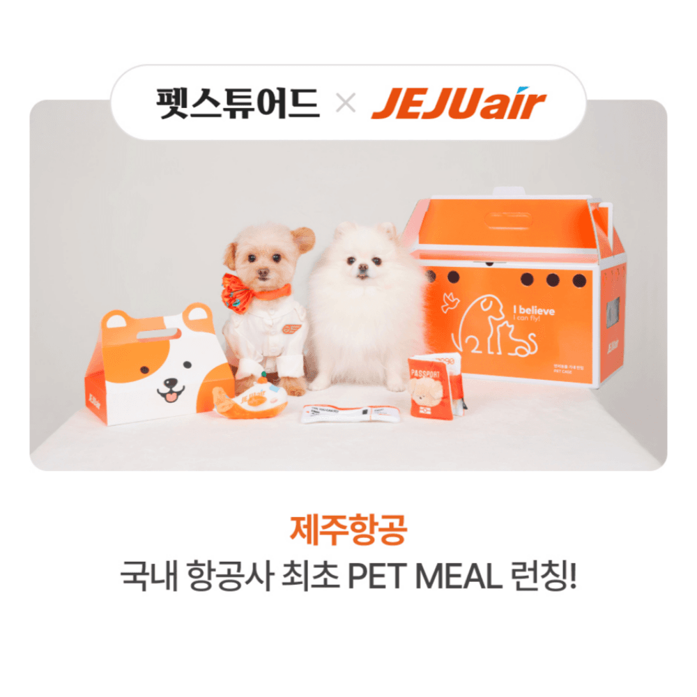펫스튜어드 × 제주항공